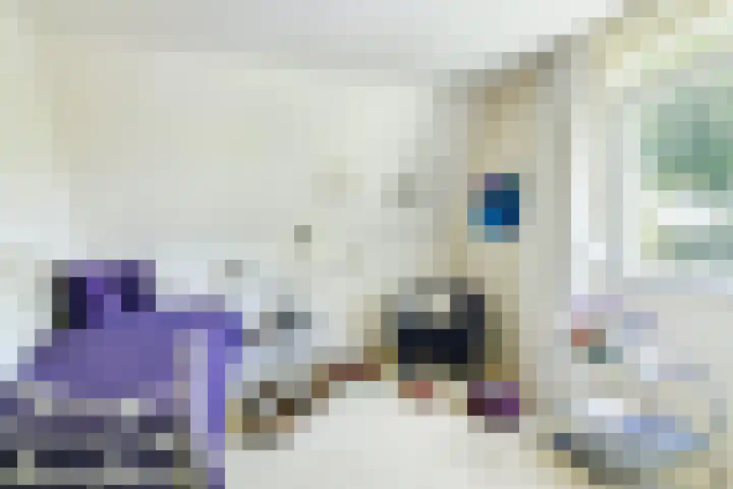 Lammerts van Buerenstraat 2 Franeker thumbnail 34