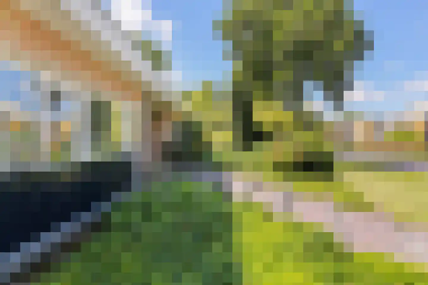 Lammerts van Buerenstraat 2 Franeker thumbnail 48