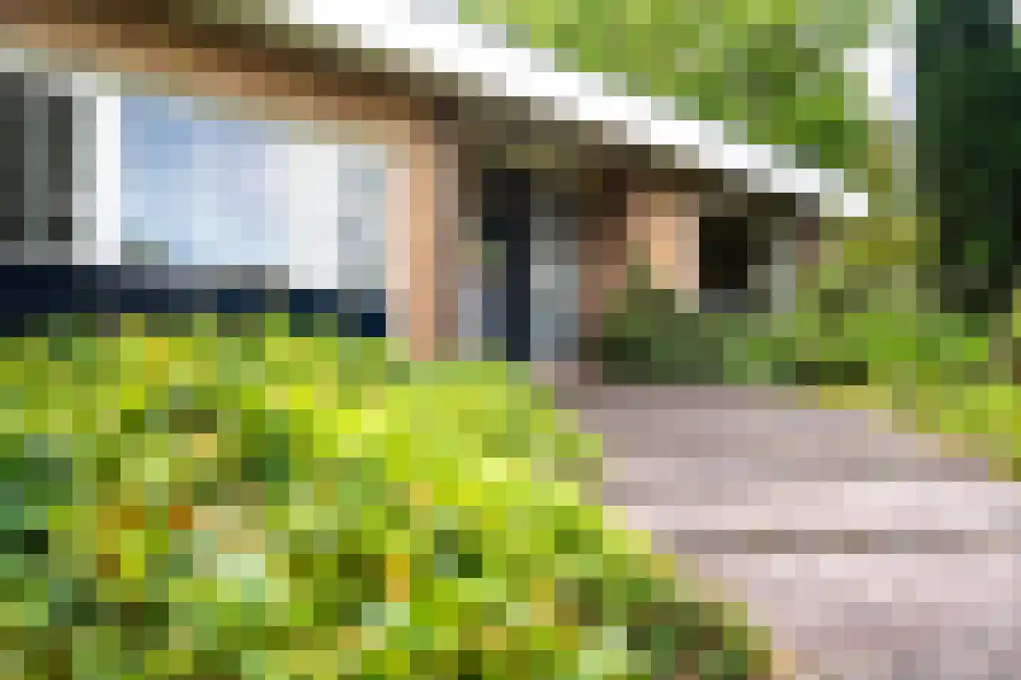 Lammerts van Buerenstraat 2 Franeker thumbnail 6