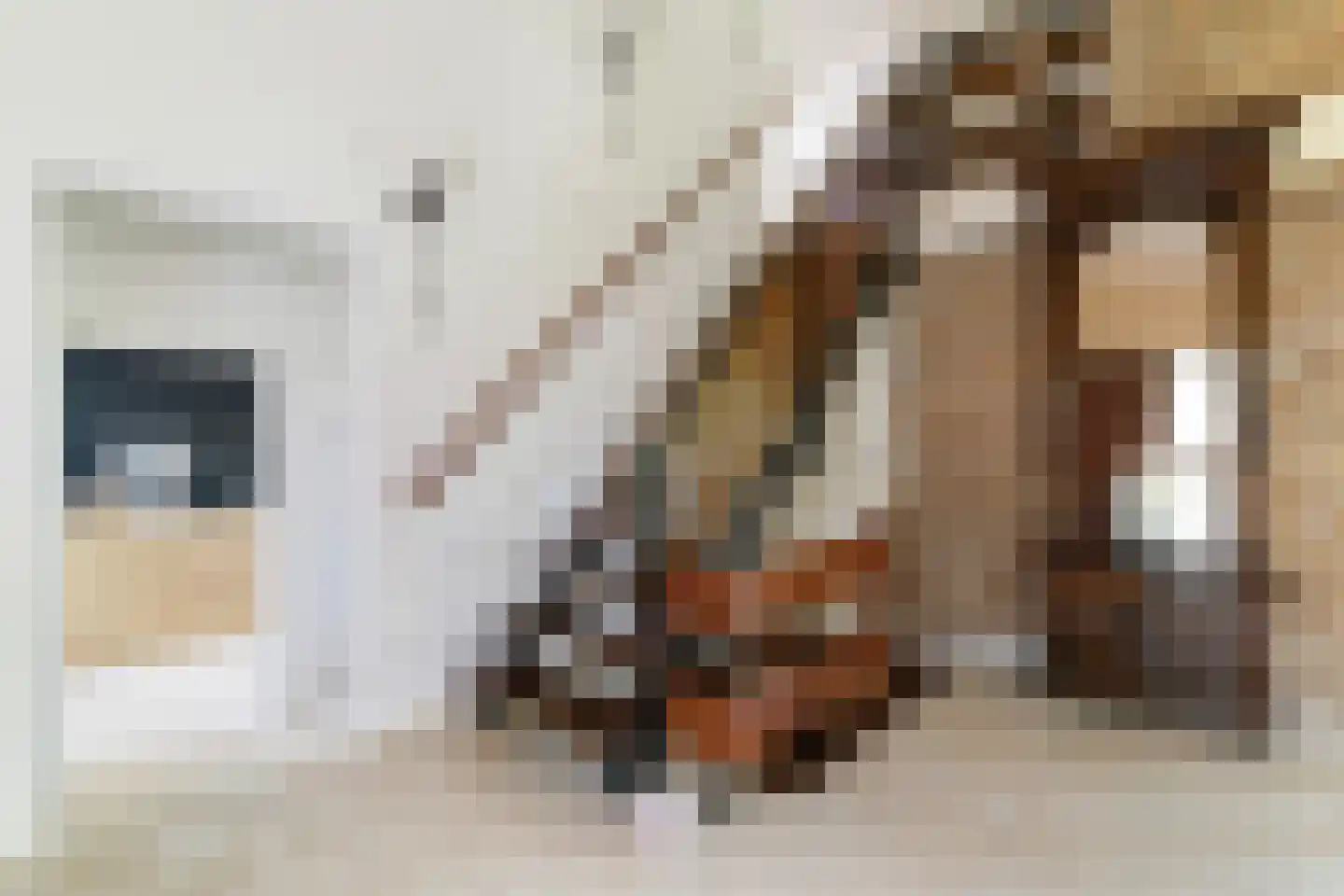 Lammerts van Buerenstraat 2 Franeker thumbnail 6