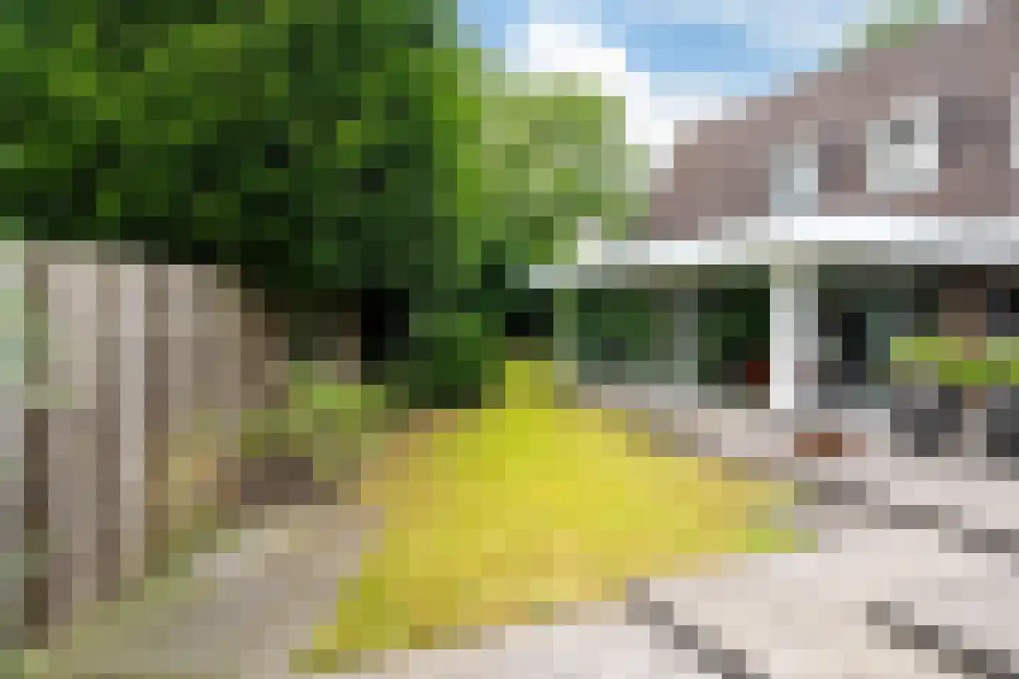 Lammerts van Buerenstraat 2 Franeker thumbnail 67
