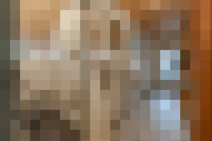 Lammerweg 3 Sellingen thumbnail 10