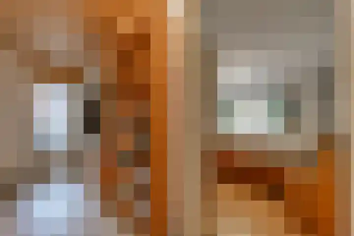 Lammerweg 3 Sellingen thumbnail 11