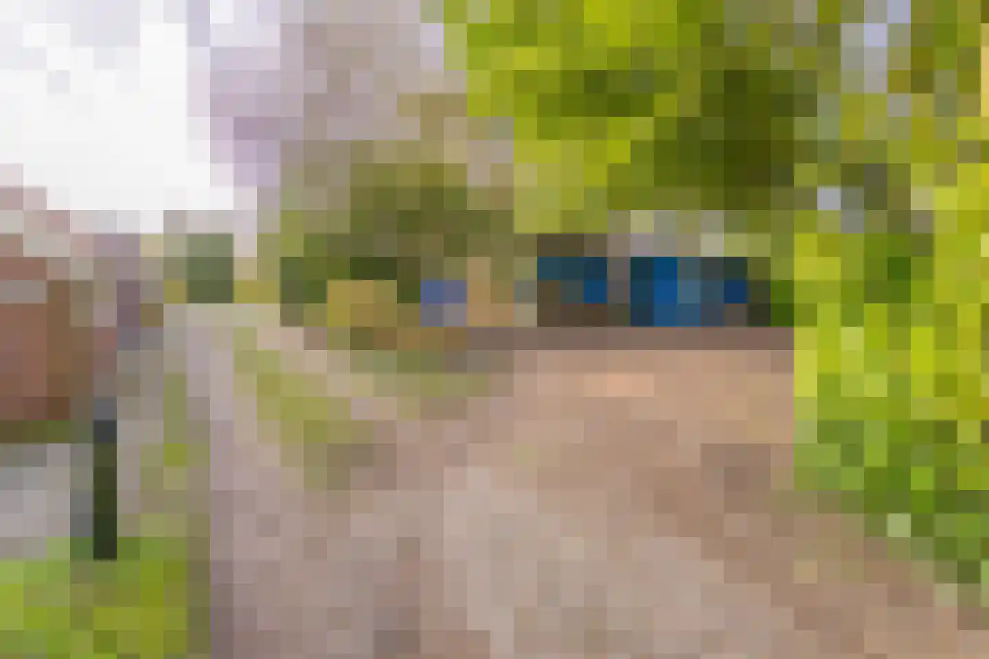 Lammerweg 3 Sellingen thumbnail 18