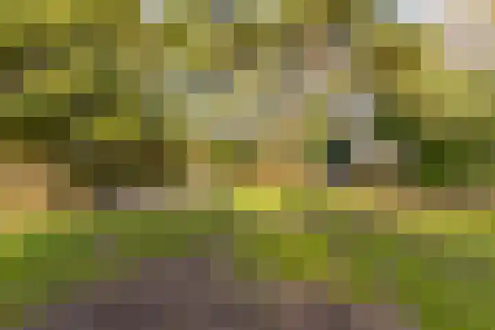 Lammerweg 3 Sellingen thumbnail 19
