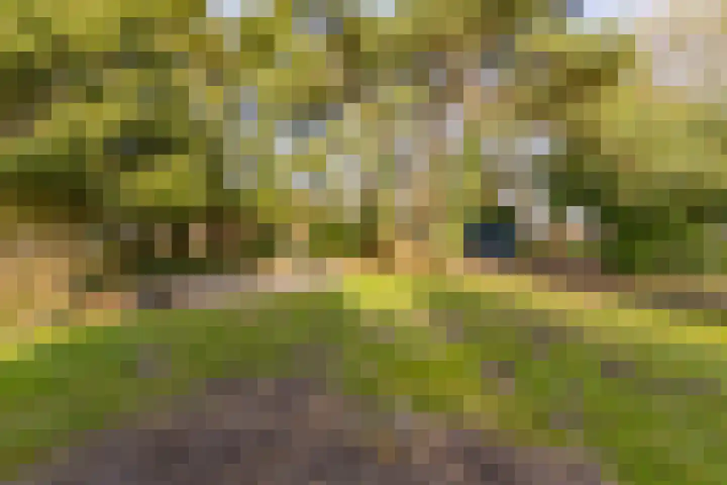 Lammerweg 3 Sellingen thumbnail 19