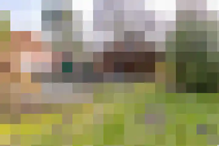 Lammerweg 3 Sellingen thumbnail 21