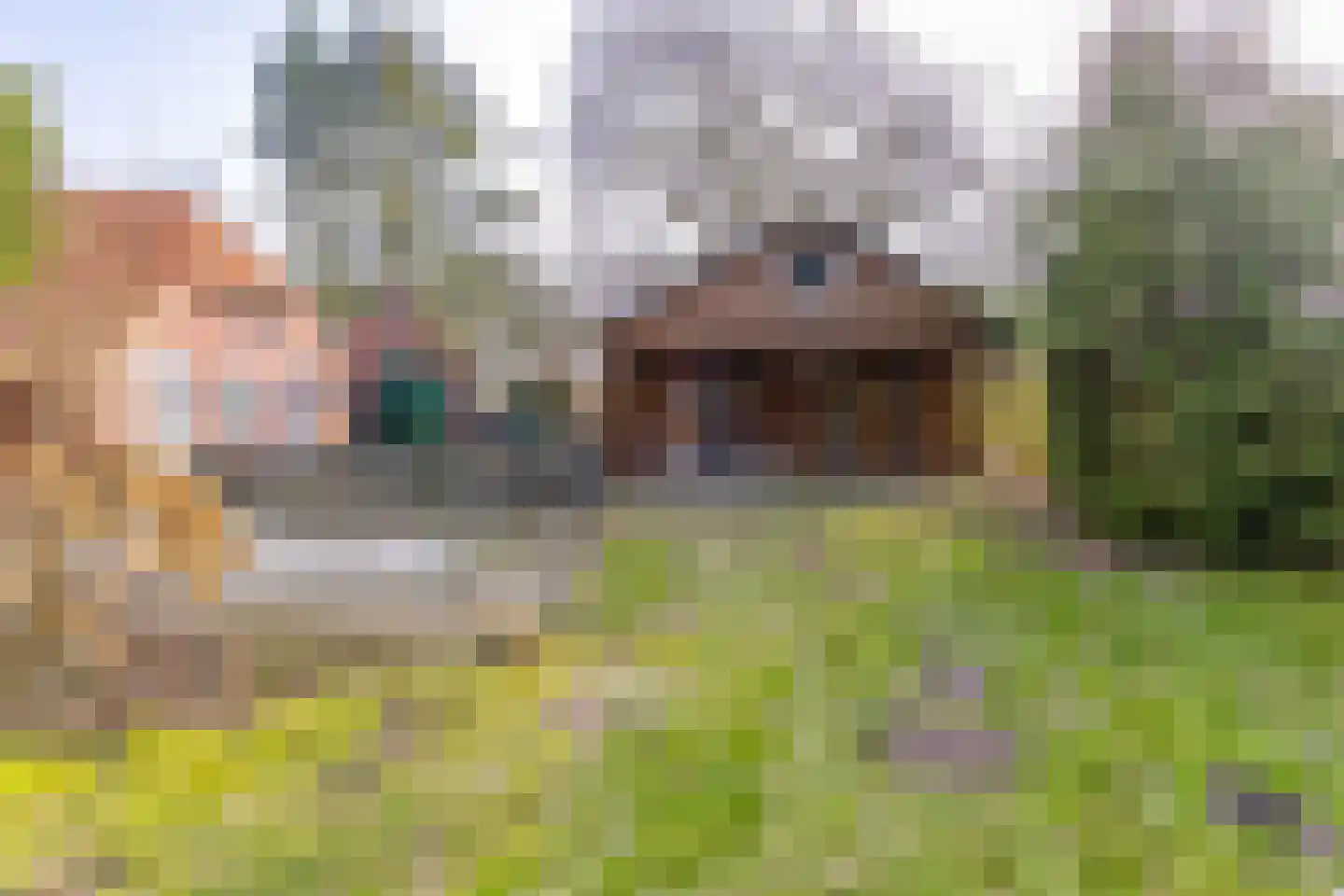 Lammerweg 3 Sellingen thumbnail 21