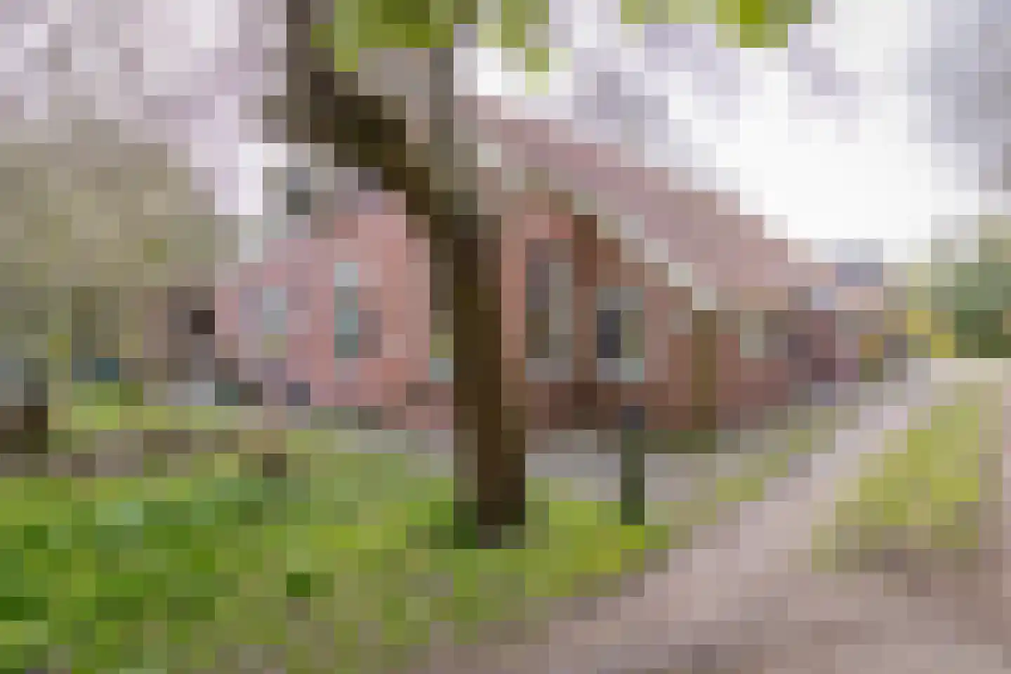 Lammerweg 3 Sellingen thumbnail 30