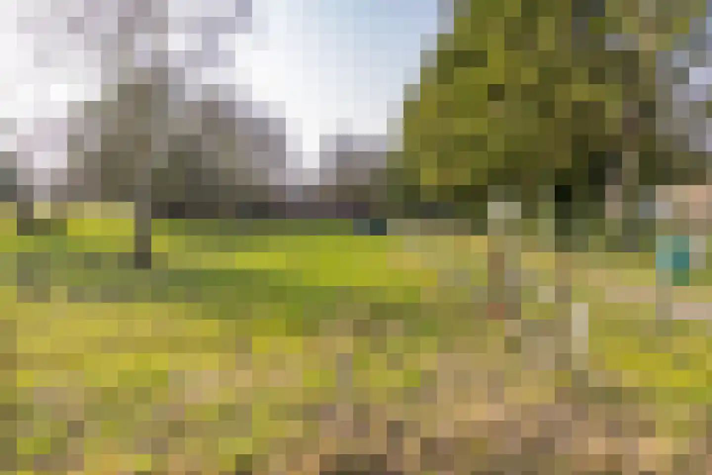 Lammerweg 3 Sellingen thumbnail 31