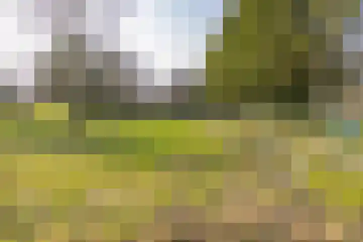 Lammerweg 3 Sellingen thumbnail 31