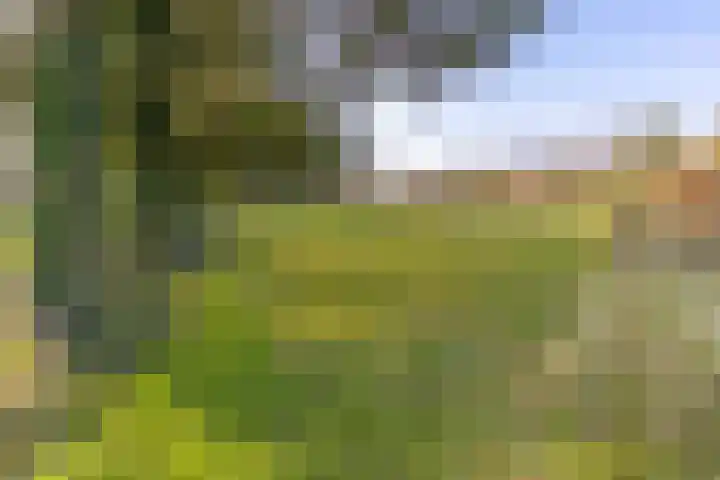 Lammerweg 3 Sellingen thumbnail 32