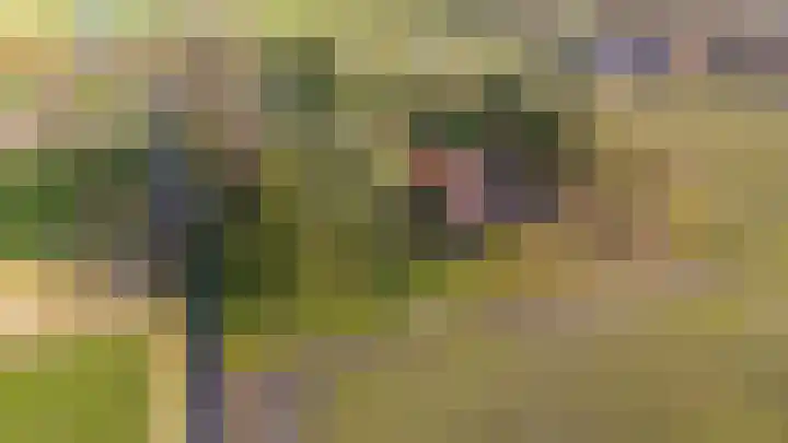 Lammerweg 3 Sellingen thumbnail 33
