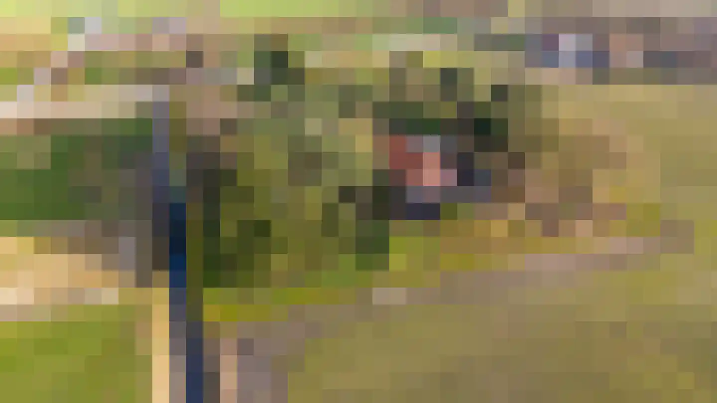 Lammerweg 3 Sellingen thumbnail 33