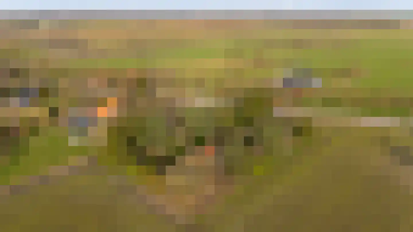 Lammerweg 3 Sellingen thumbnail 34