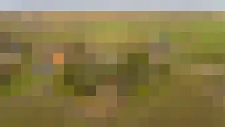 Lammerweg 3 Sellingen thumbnail 34