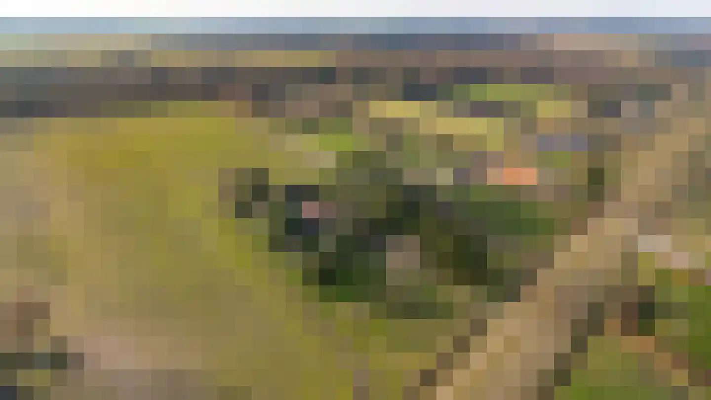 Lammerweg 3 Sellingen thumbnail 35