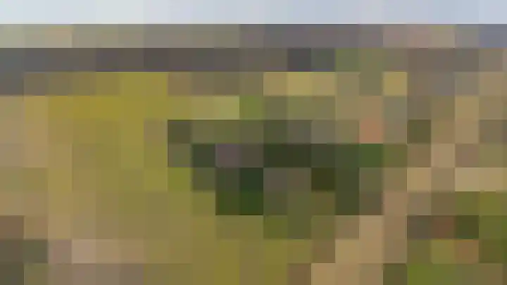 Lammerweg 3 Sellingen thumbnail 35