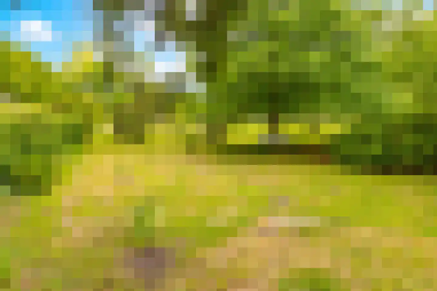 Lammerweg 5 Sellingen thumbnail 31