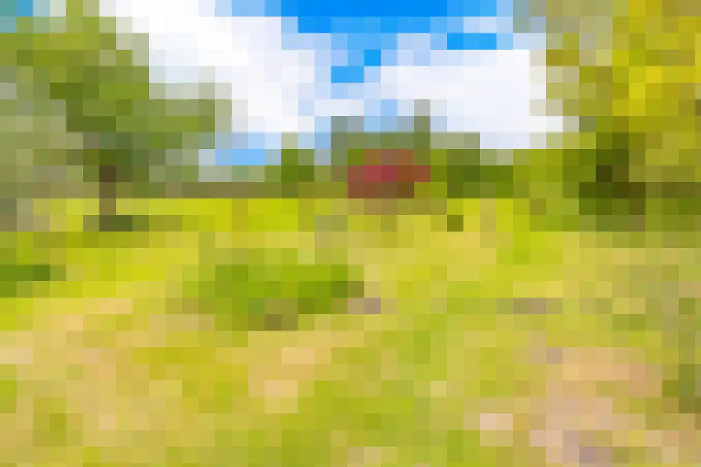 Lammerweg 5 Sellingen thumbnail 35