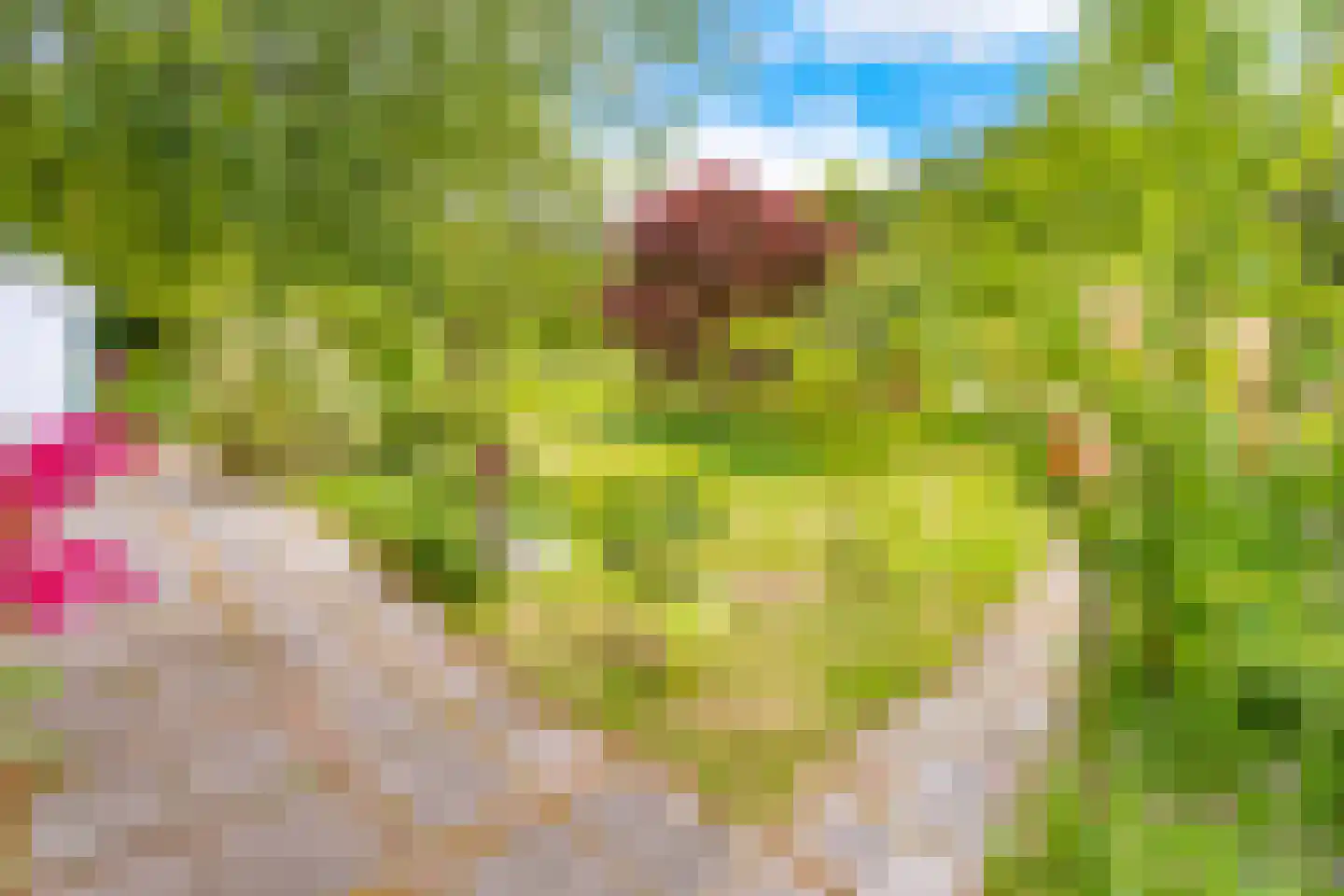 Lammerweg 5 Sellingen thumbnail 37