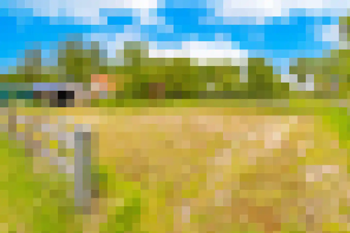 Lammerweg 5 Sellingen thumbnail 38