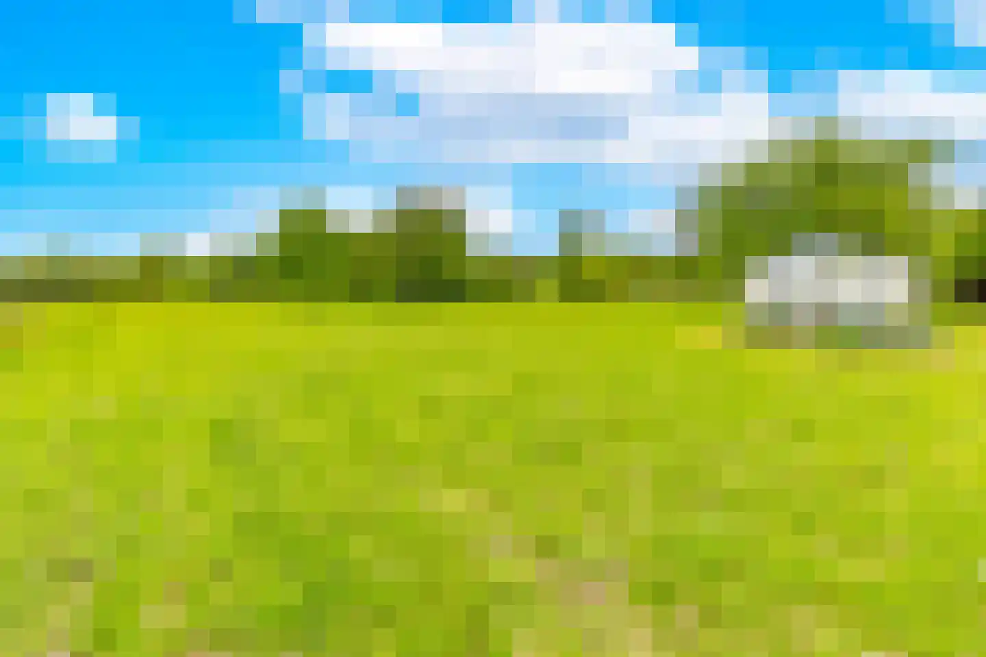 Lammerweg 5 Sellingen thumbnail 39
