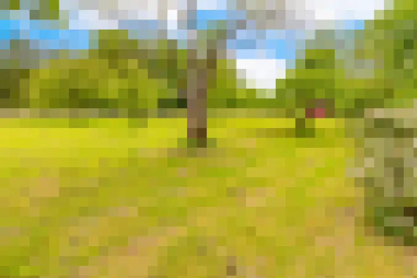 Lammerweg 5 Sellingen thumbnail 4