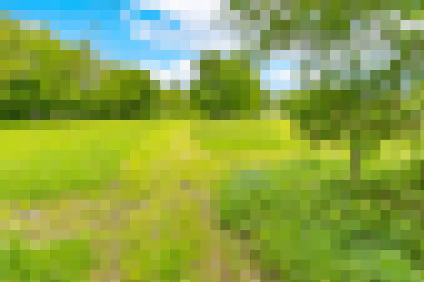 Lammerweg 5 Sellingen thumbnail 40
