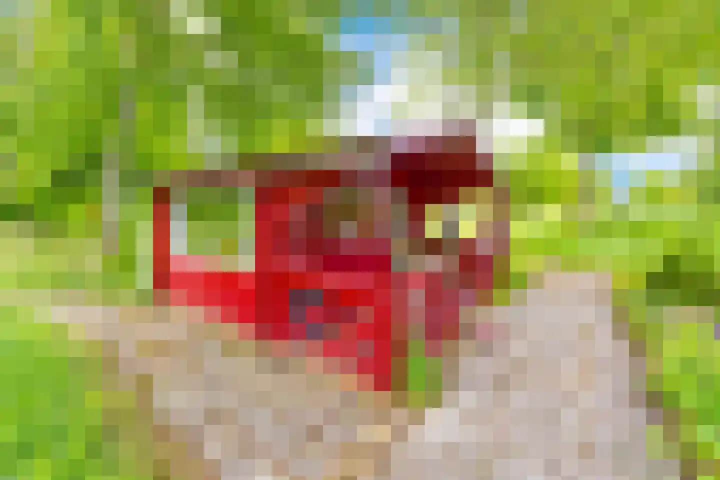Lammerweg 5 Sellingen thumbnail 41