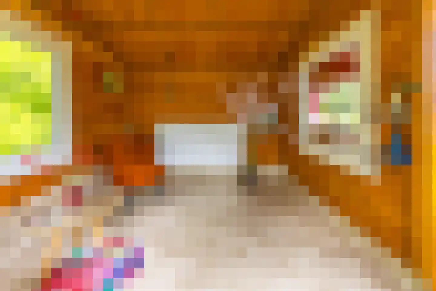 Lammerweg 5 Sellingen thumbnail 43