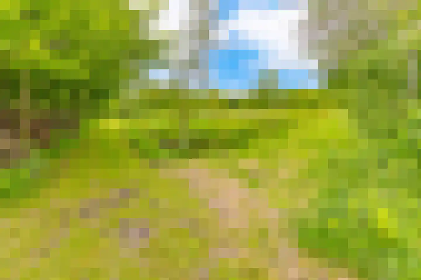 Lammerweg 5 Sellingen thumbnail 44