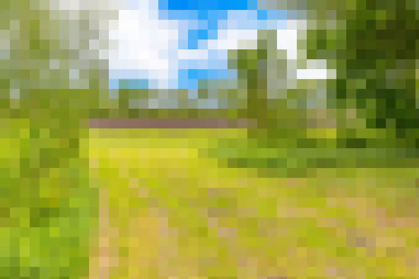 Lammerweg 5 Sellingen thumbnail 45