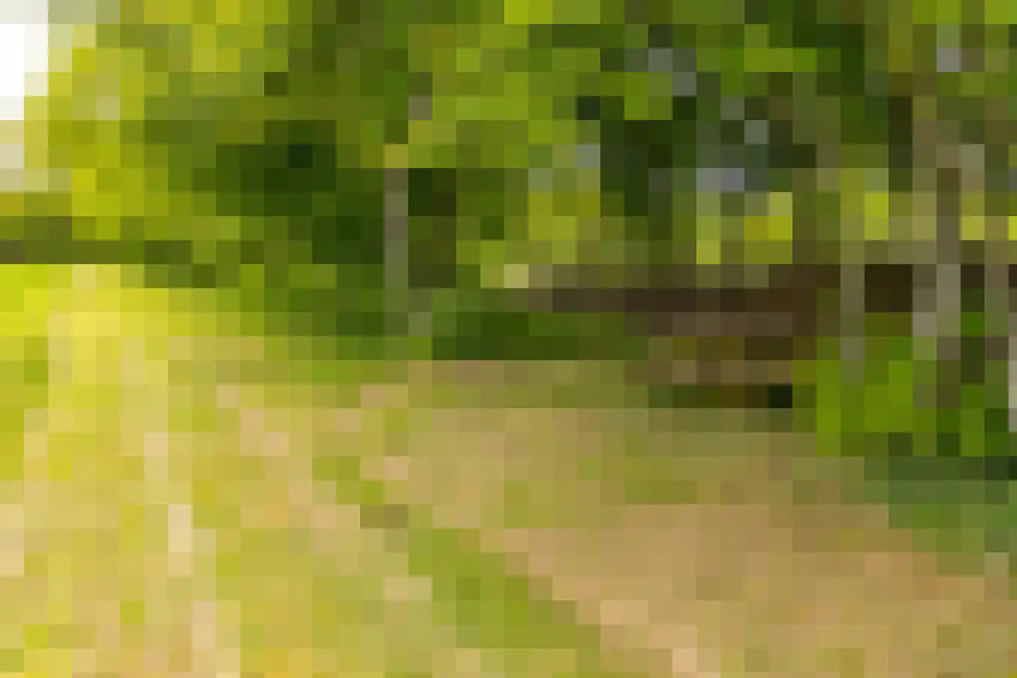 Lammerweg 5 Sellingen thumbnail 46