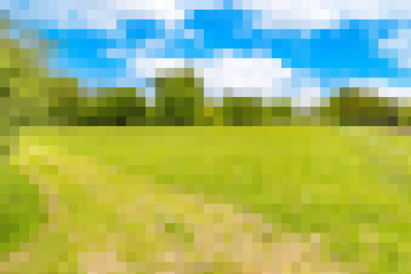 Lammerweg 5 Sellingen thumbnail 47