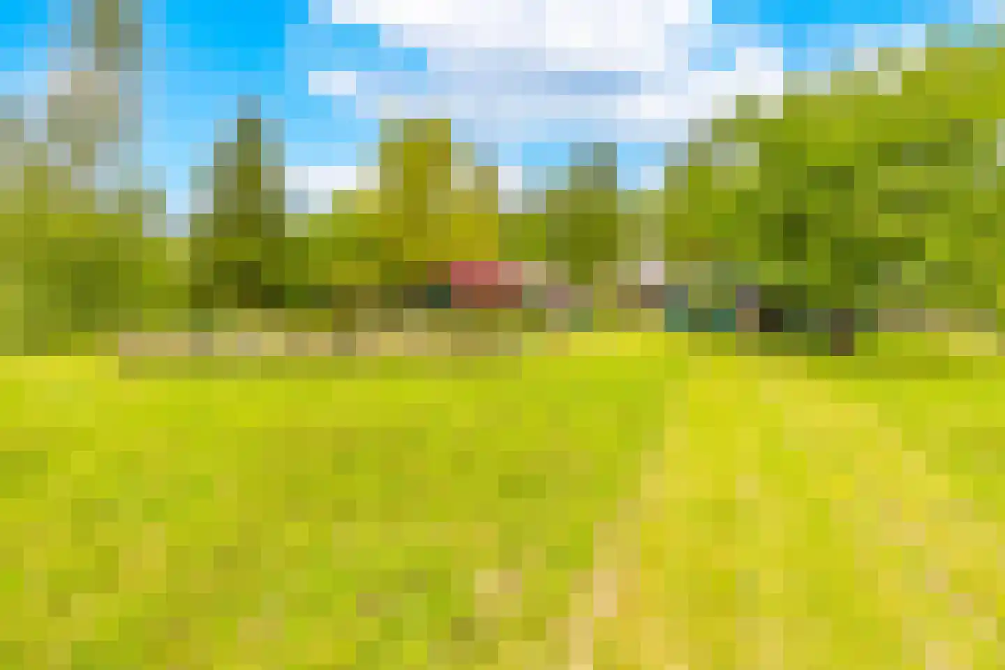 Lammerweg 5 Sellingen thumbnail 48