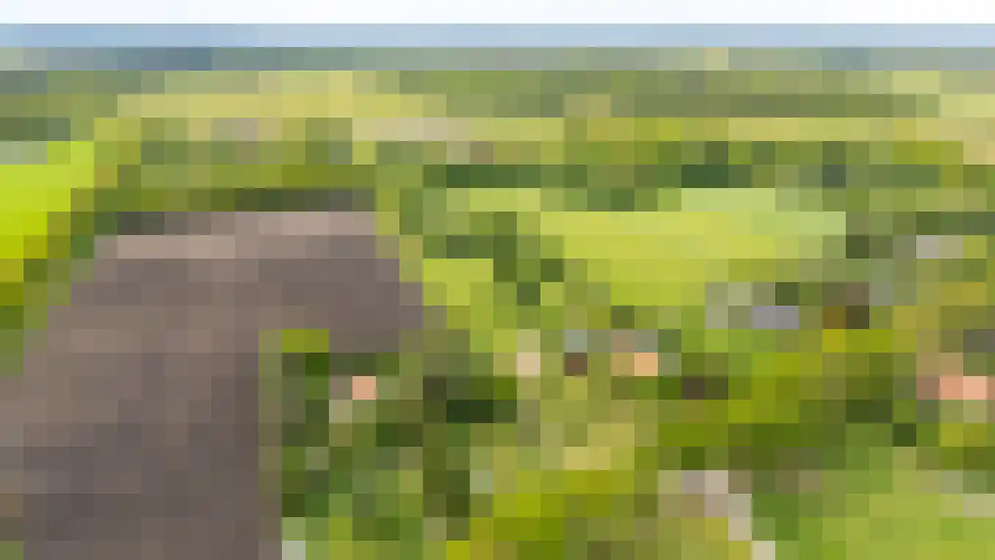 Lammerweg 5 Sellingen thumbnail 49