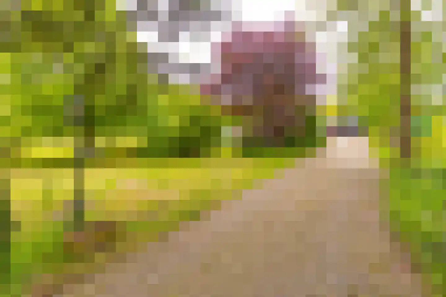 Lammerweg 5 Sellingen thumbnail 5