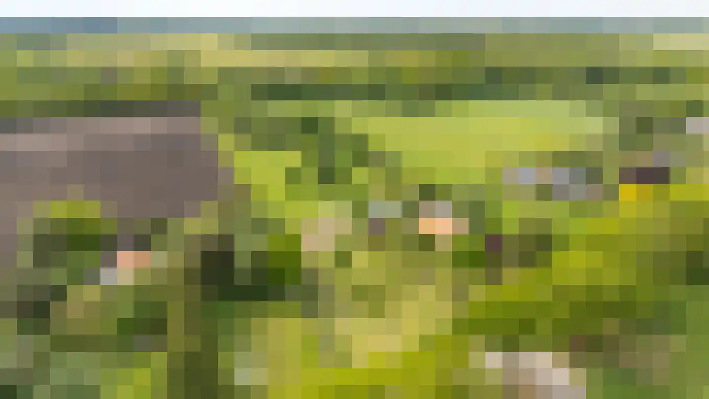 Lammerweg 5 Sellingen thumbnail 51