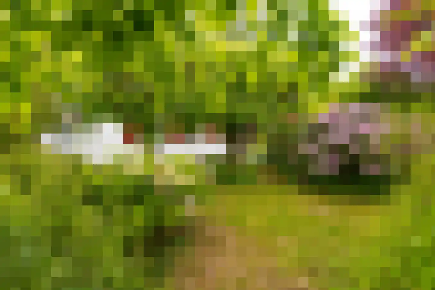 Lammerweg 5 Sellingen thumbnail 53