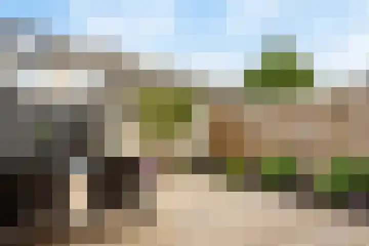 Lammerweide 13 Leiderdorp thumbnail 30
