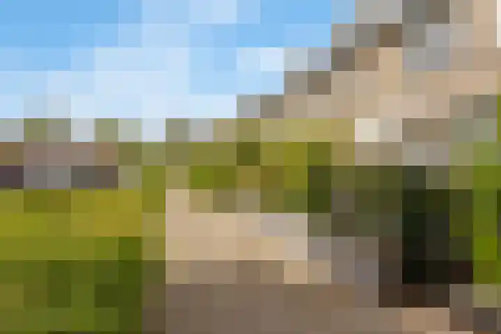 Lammerweide 13 Leiderdorp thumbnail 33