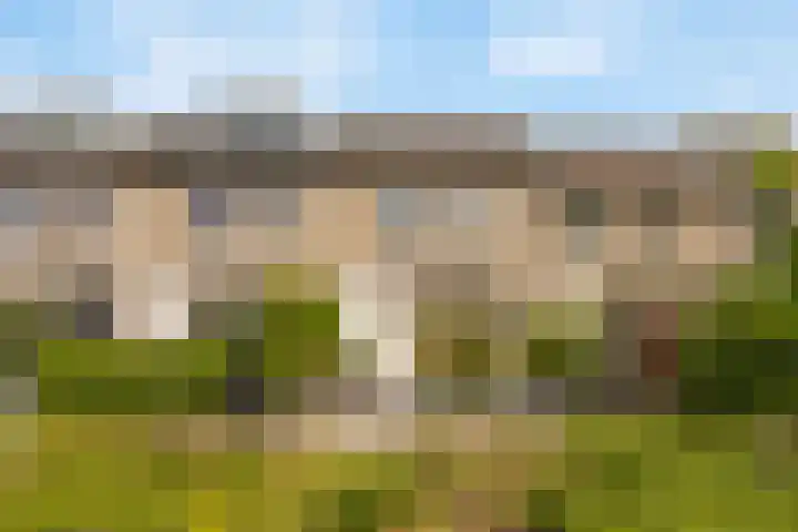 Lammerweide 13 Leiderdorp thumbnail 34