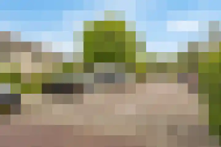 Lammerweide 13 Leiderdorp thumbnail 36