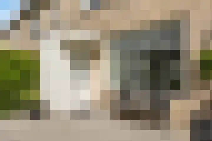 Lammerweide 13 Leiderdorp thumbnail 5