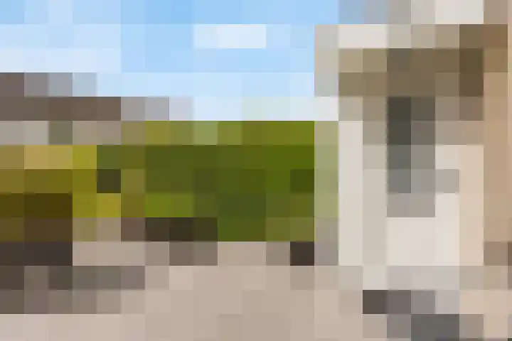 Lammerweide 13 Leiderdorp thumbnail 6