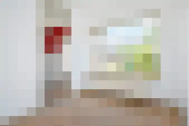 Lammerweide 28 Zoetermeer thumbnail 14