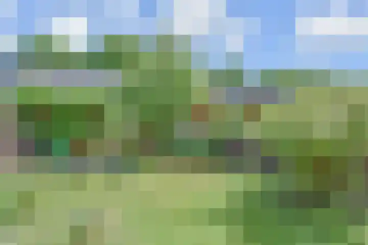 Lammerweide 28 Zoetermeer thumbnail 22