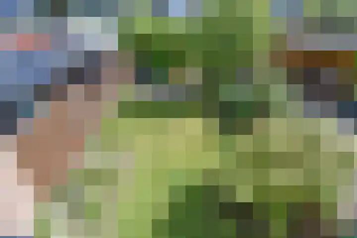 Lammerweide 28 Zoetermeer thumbnail 24