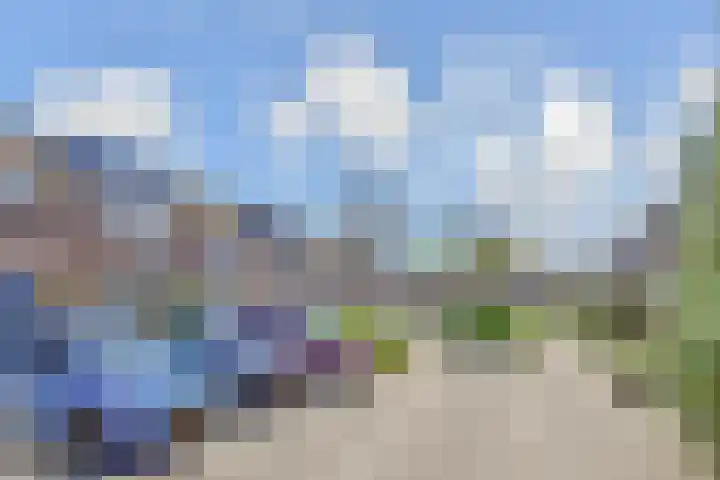 Lammerweide 28 Zoetermeer thumbnail 37
